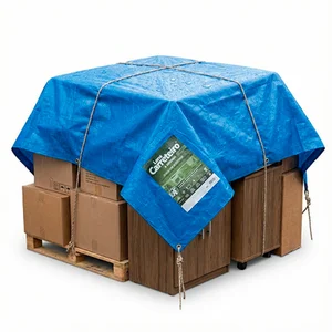 Lona Carreteiro 03 x 03 Azul Boomera