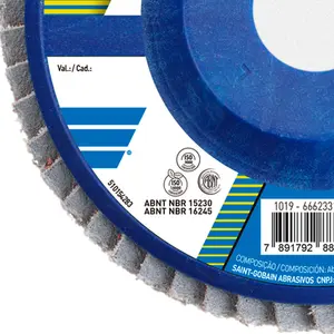 Disco Flap de Plástico Evolution R822 115 x 22mm Grão 40 Norton