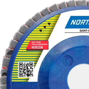 Disco Flap de Plástico Evolution R822 115 x 22mm Grão 40 Norton